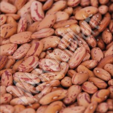 Rajma